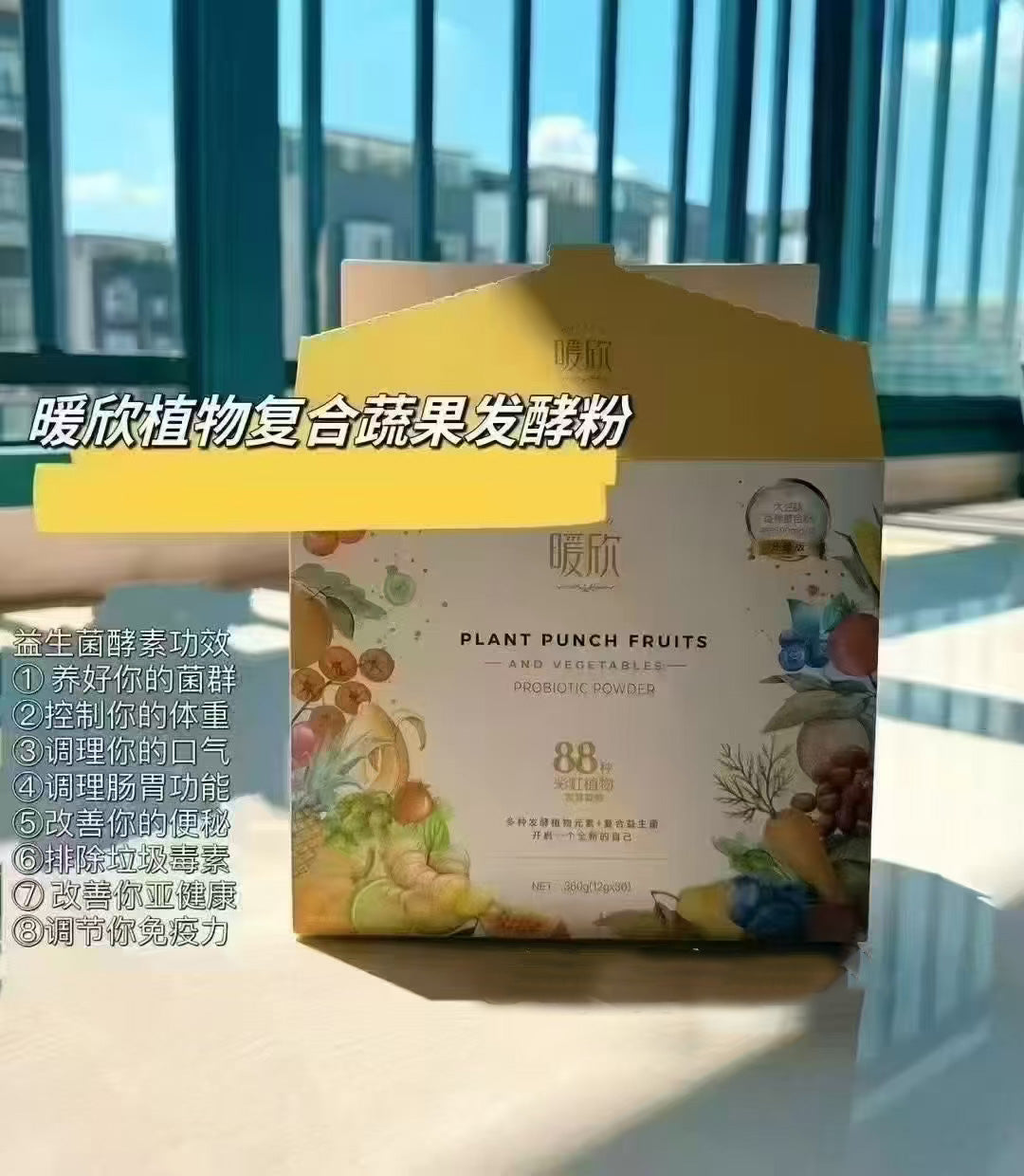 暖欣植物复合蔬果发酵粉 Plant Punch Fruits Probiotic Powder